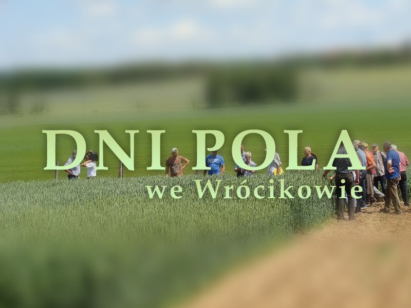 Dni Pola we Wrócikowie